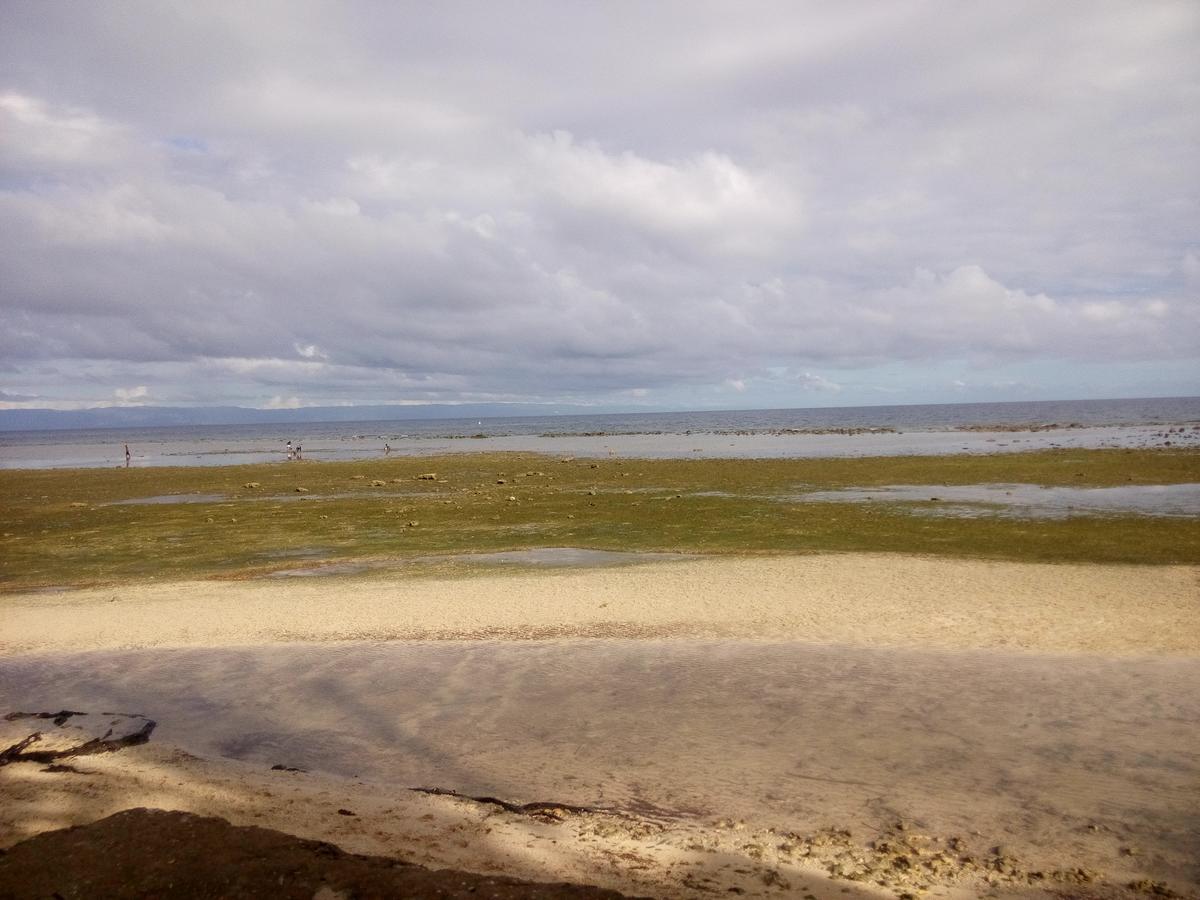 La Villa Alta Siquijor Εξωτερικό φωτογραφία